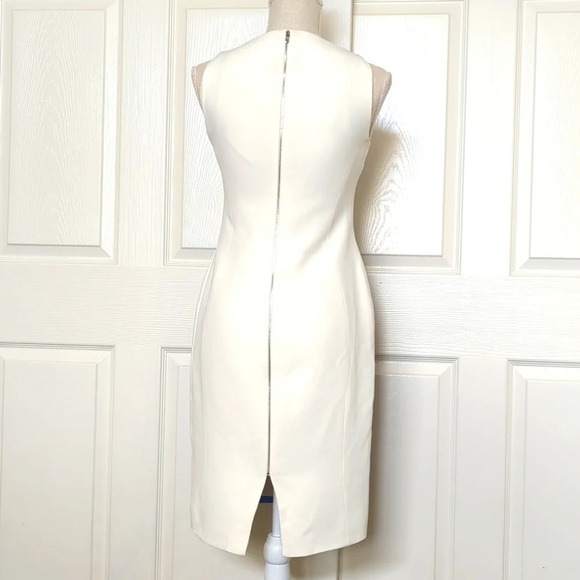 Antonio Berardi Vogue Runway Dress - Picture 6 of 10